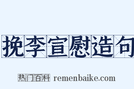 挽李宣慰造句是什么意思的图片